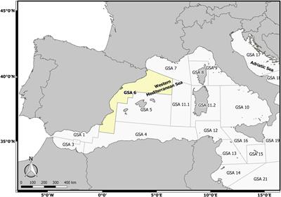 Bioeconomic Analysis of the EU Multiannual Management Plan for Demersal Fisheries in the Western Mediterranean. Spanish Fisheries as a Case Study